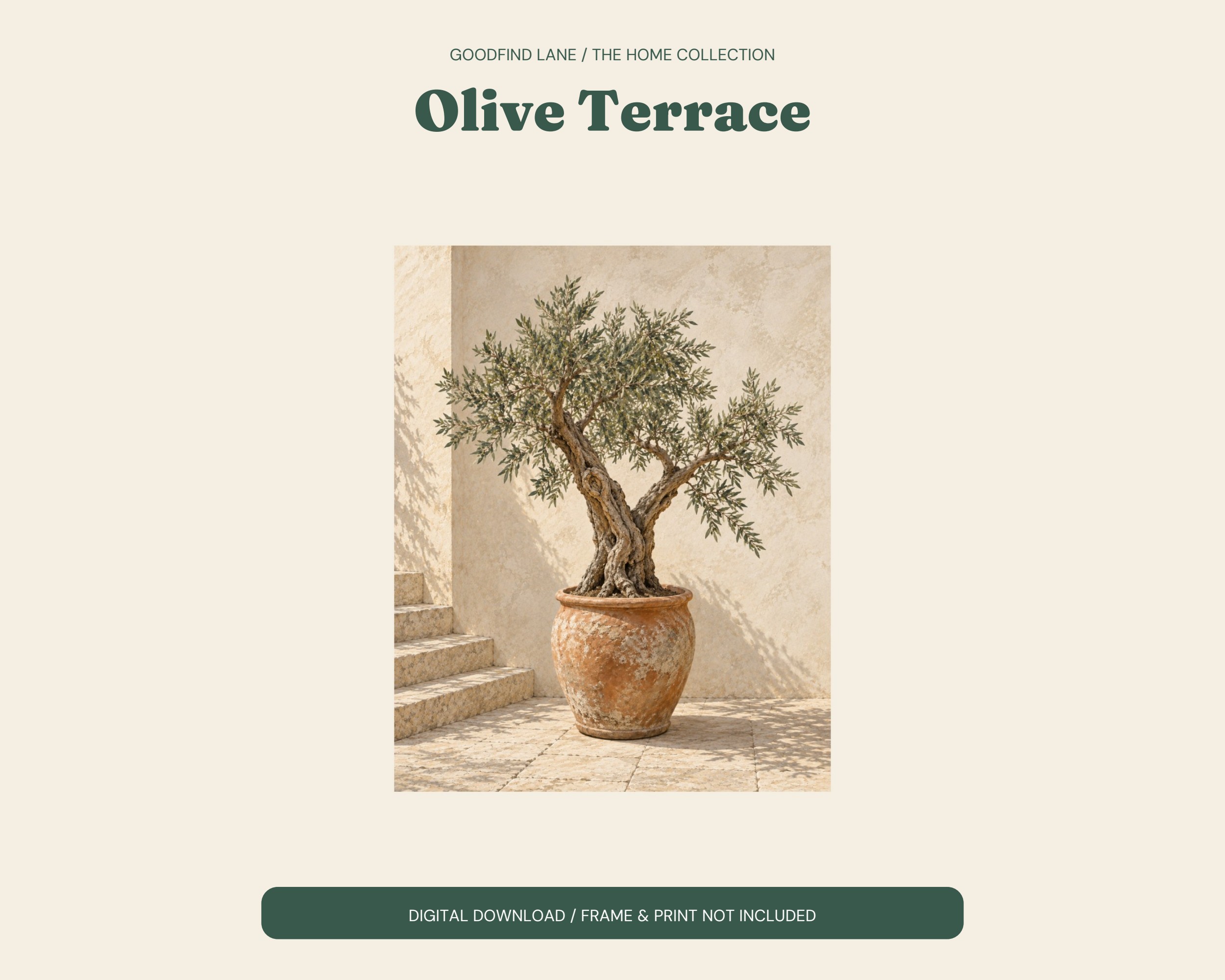 Olive Terrace — Product overview