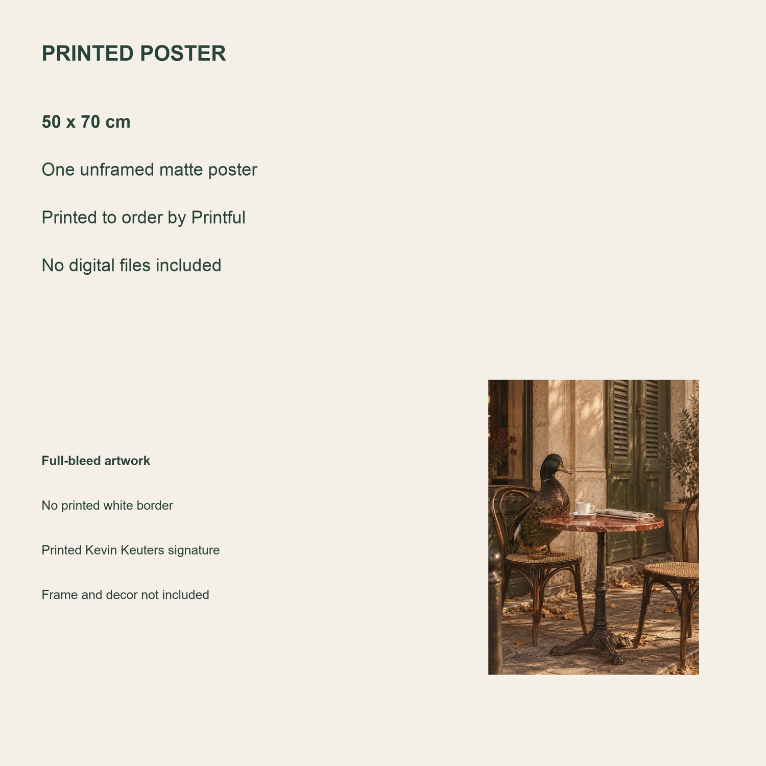Cafe Duck — printed poster details, 50 × 70 cm, unframed